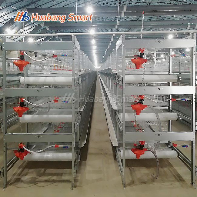 Chicken H Type Cage Automatic Broiler